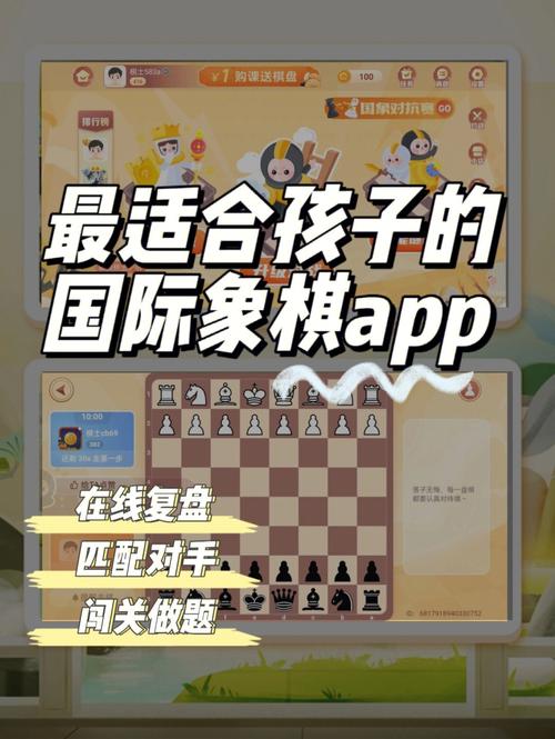 国外围棋体育竞技（国外围棋app）