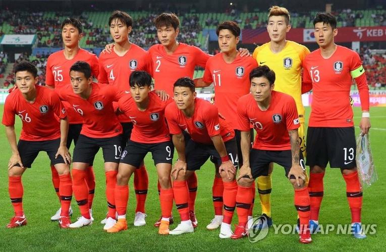 韩国欧洲杯（欧洲韩国队）
