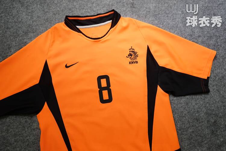 欧洲杯-荷兰（欧洲杯荷兰球衣）